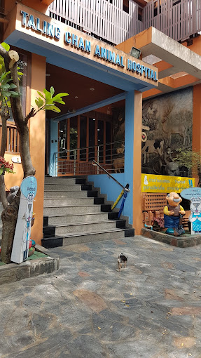 โรงพยาบาลสัตว์ ตลิ่งชัน Talingchan Animal Hospital