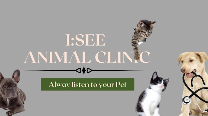 I:SEE Animal Clinic