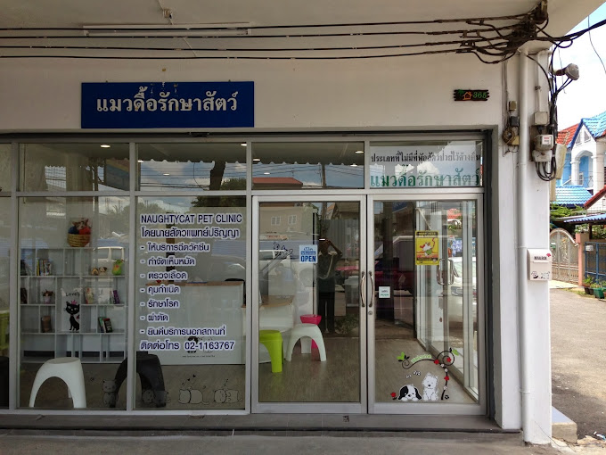 แมวดื้อรักษาสัตว์ | Naughty Cat Pet Clinic