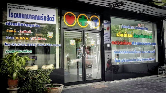 โรงพยาบาลคนรักสัตว์ สาขา ลาดพร้าว87