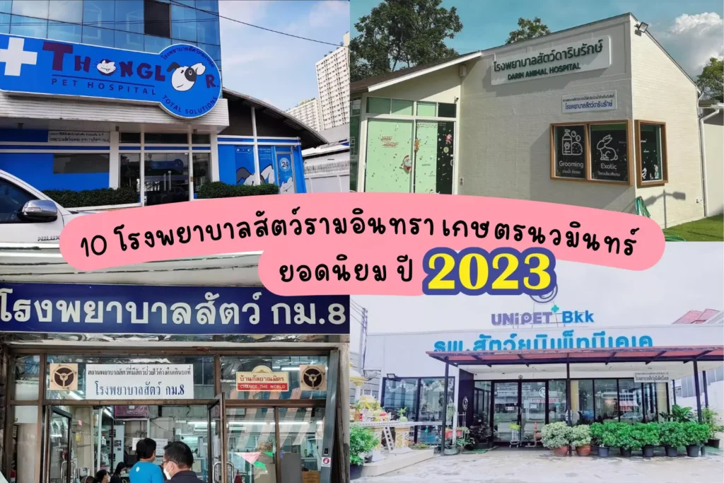 10-โรงพยาบาลสัตว์-รามอินทรา-เกษตรนวมินตร์-ยอดนิยม-ปี-2023