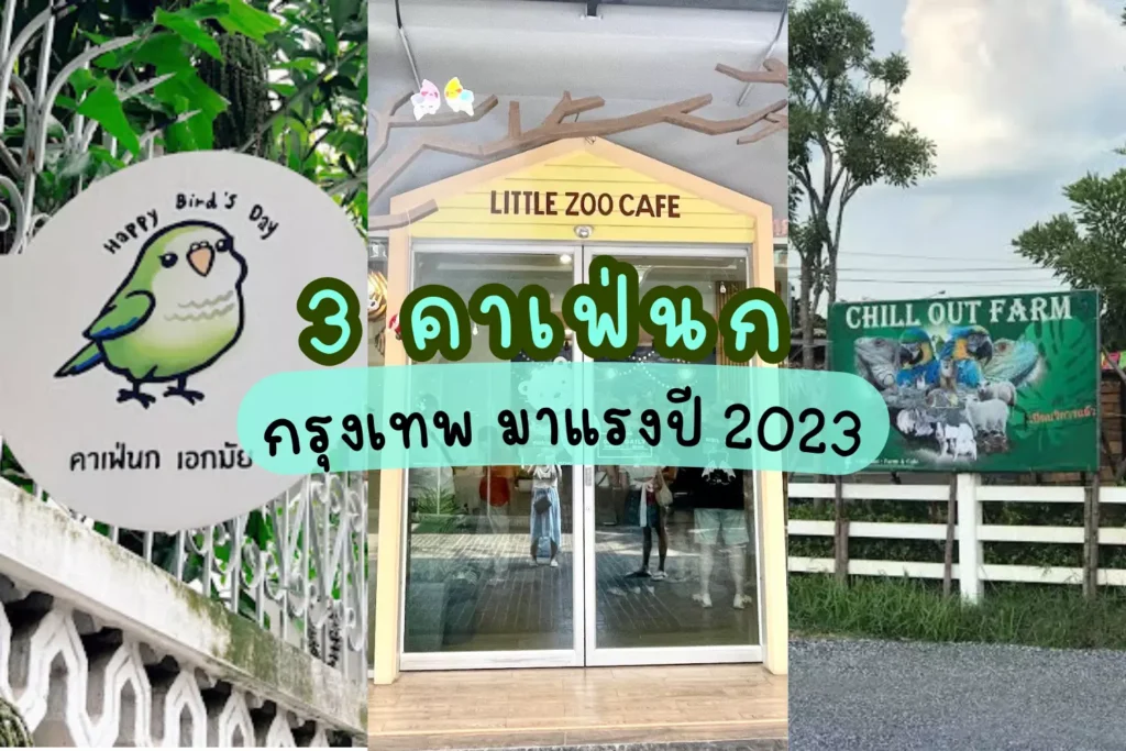 3 คาเฟ่นก กรุงเทพ มาแรงปี 2023