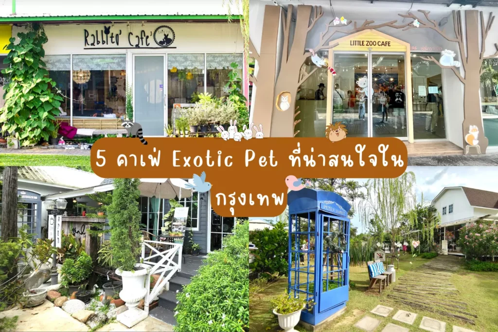 5-คาเฟ่-Exotic-Pet-ที่น่าสนใจใน-กรุงเทพ