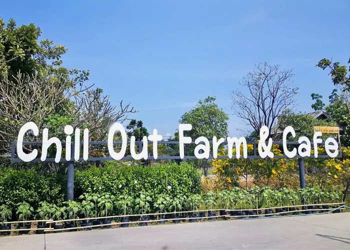 Chill Out Farm Cafe MINI ZOO สุวินทวงศ์