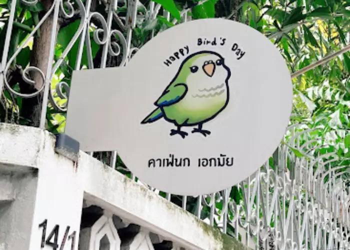 คาเฟ่นก เอกมัย Happy Bird’s Day