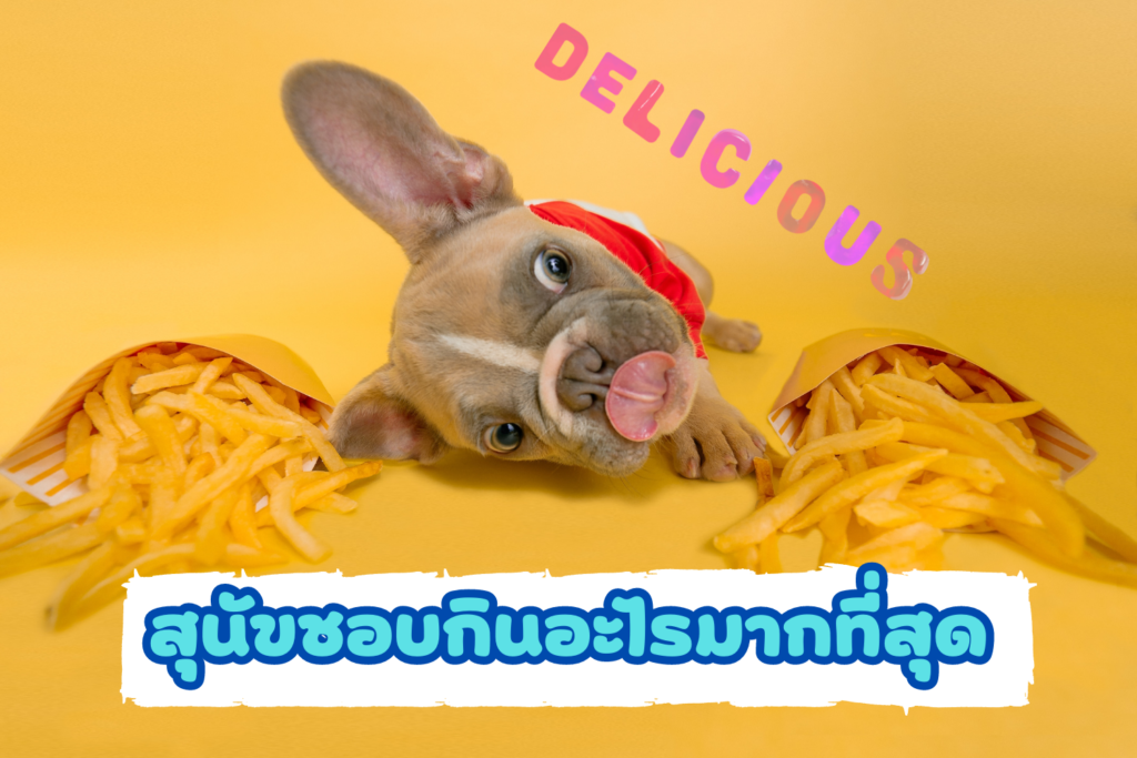 สุนัขชอบกินอะไรมากที่สุด