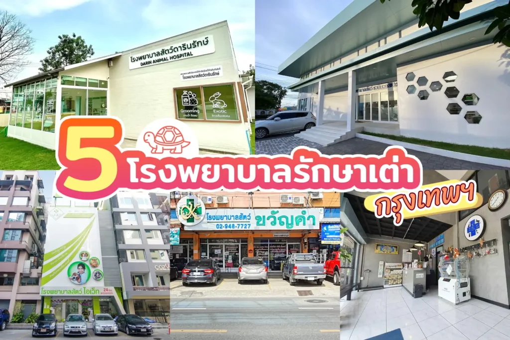 โรงพยาบาลรักษาเต่า กรุงเทพฯ